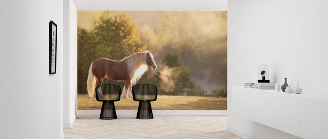 PHOTOWALL / Golden Lit Horse (e324959)