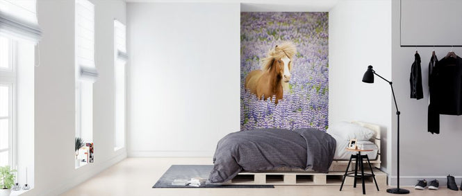 PHOTOWALL / Horse in Lupin Field (e324961)