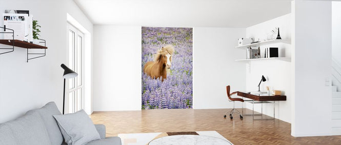 PHOTOWALL / Horse in Lupin Field (e324961)
