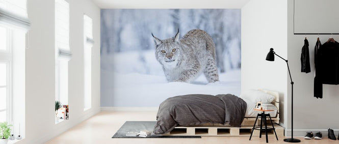 PHOTOWALL / Eurasian Lynx (e325044)