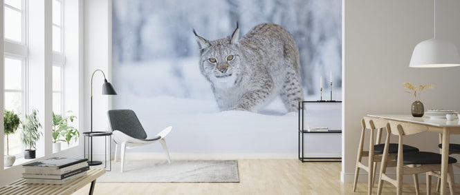 PHOTOWALL / Eurasian Lynx (e325044)
