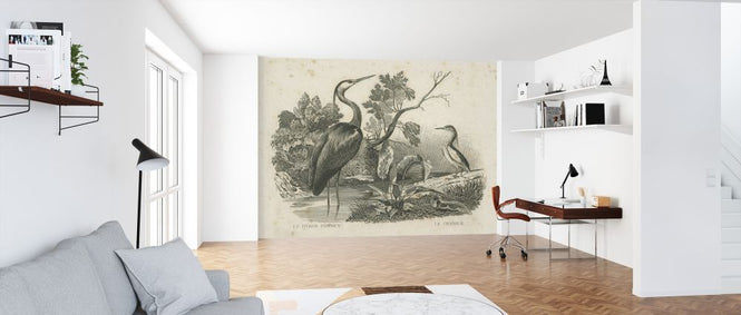 PHOTOWALL / French Birds (e325798)