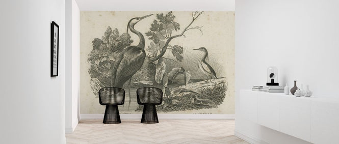 PHOTOWALL / French Birds (e325798)