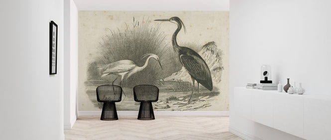 PHOTOWALL / French Birds II (e325799)