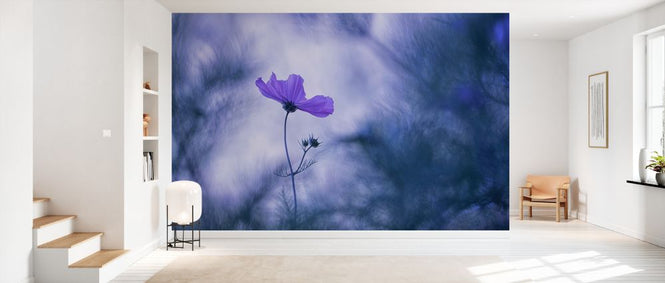 PHOTOWALL / Blue Dream (e327086)