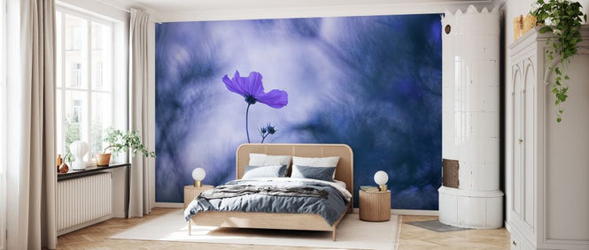 PHOTOWALL / Blue Dream (e327086)