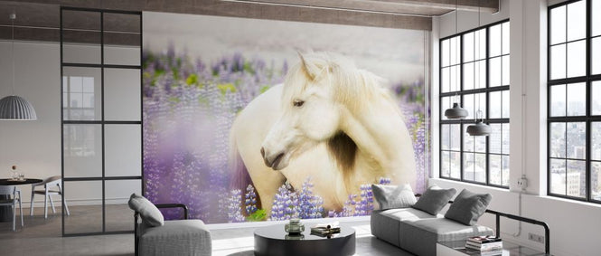 PHOTOWALL / Horse in Lupin Field III (e327329)