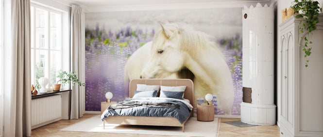 PHOTOWALL / Horse in Lupin Field III (e327329)