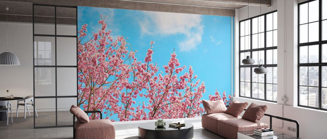 PHOTOWALL / Japan Rising Sun - Cherry Blossoms (e328555)
