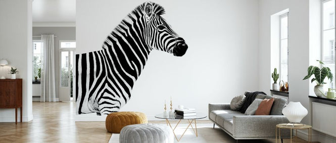 PHOTOWALL / Safari Profile - Zebra (e328580)