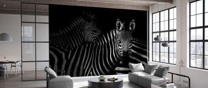 PHOTOWALL / Zebras (e328168)
