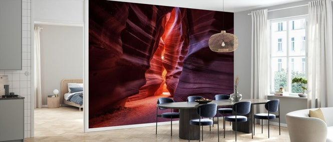 PHOTOWALL / Antelope (e328192)