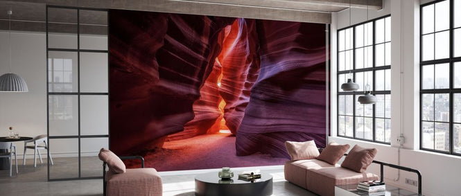 PHOTOWALL / Antelope (e328192)