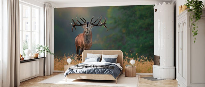 PHOTOWALL / Deer Wedding Song (e328514)