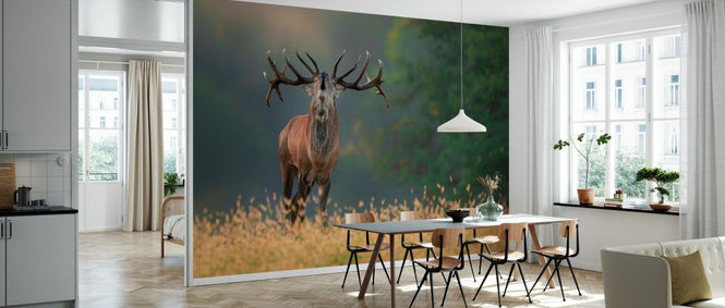 PHOTOWALL / Deer Wedding Song (e328514)