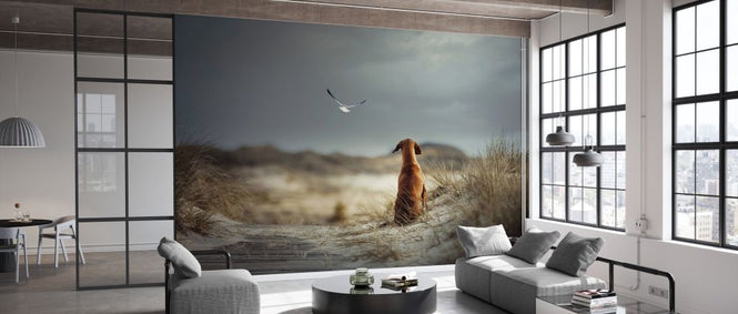 PHOTOWALL / Freedom (e328515)