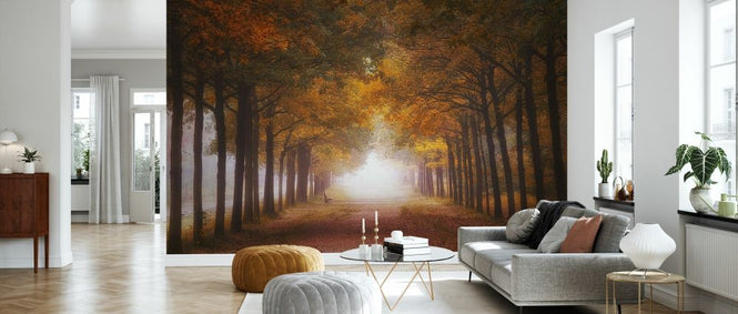 PHOTOWALL / Foggy Autumn Dream (e328527)