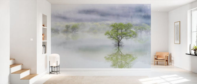 PHOTOWALL / Dreamy Tree (e328529)