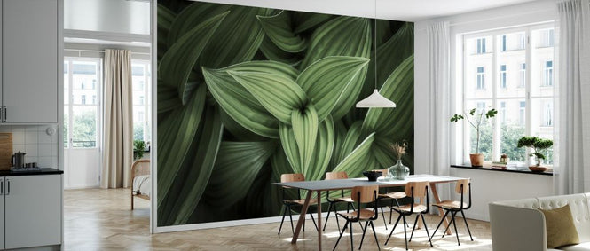 PHOTOWALL / Corn Lily (e327941)
