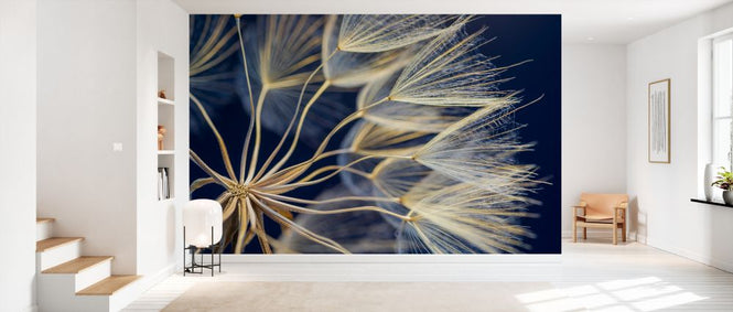 PHOTOWALL / Dandelion (e327898)