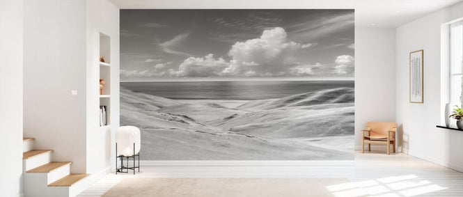 PHOTOWALL / Ventura Beach (e328363)