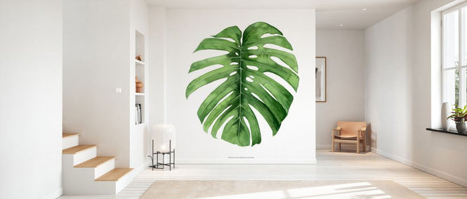 PHOTOWALL / Rainforest Jewel (e327472)