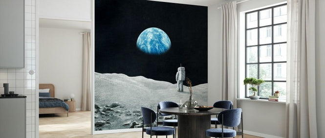 PHOTOWALL / Earthrise (e330757)