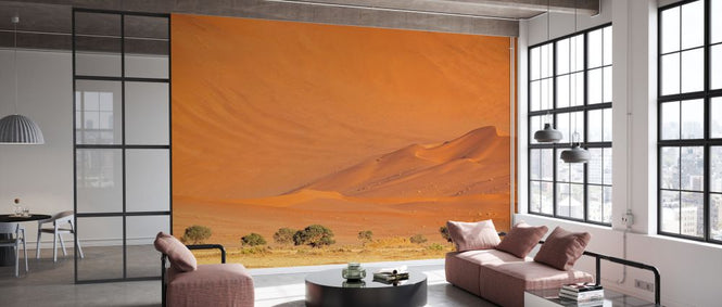 PHOTOWALL / Erg Desert II (e331487)