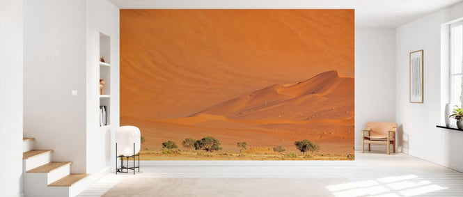 PHOTOWALL / Erg Desert II (e331487)