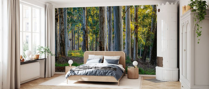 PHOTOWALL / Forest Landscape (e331500)
