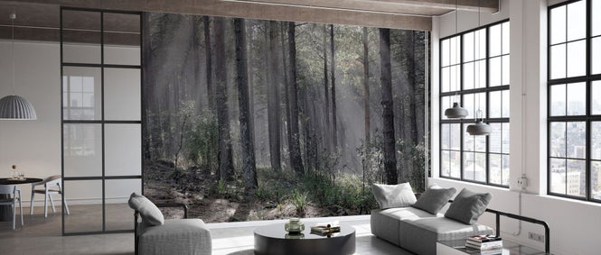 PHOTOWALL / Hardwood Forest (e331503)