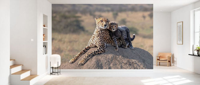 PHOTOWALL / Cheetah and Cup (e331580)