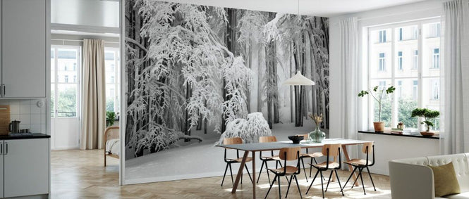 PHOTOWALL / Perfect Winter (e331587)