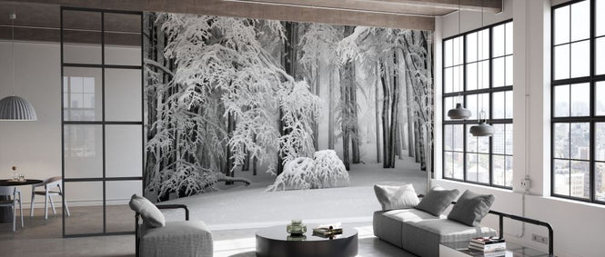 PHOTOWALL / Perfect Winter (e331587)