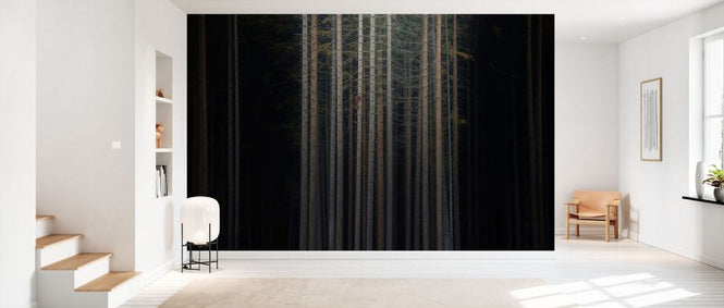 PHOTOWALL / Second Skin (e331588)