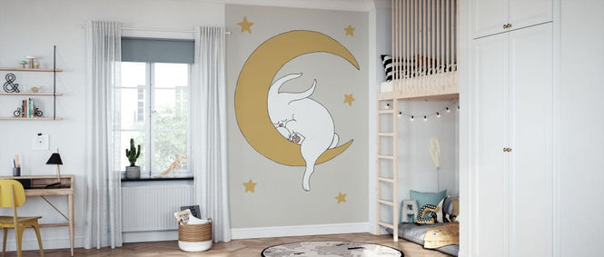 PHOTOWALL / Rabbit (e331649)