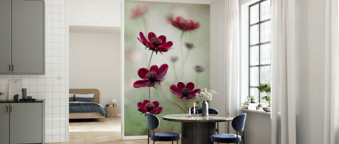 PHOTOWALL / Cosmos Sway (e332133)