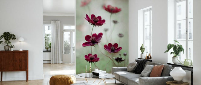 PHOTOWALL / Cosmos Sway (e332133)