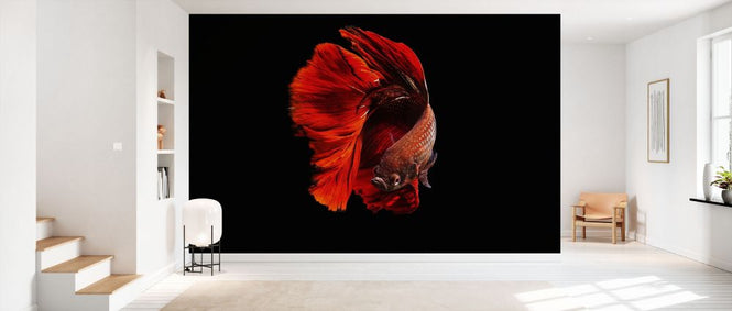 PHOTOWALL / Red (e332140)