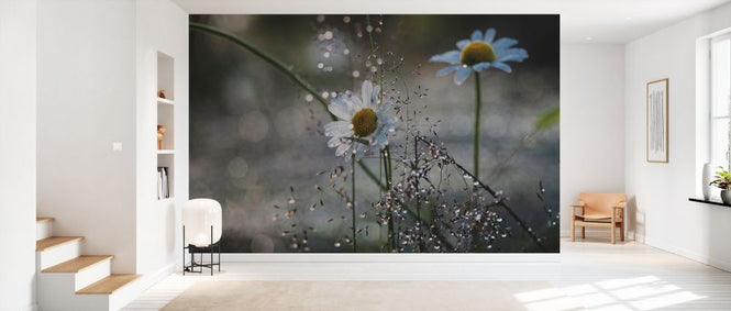 PHOTOWALL / Summer Jewelry (e332938)