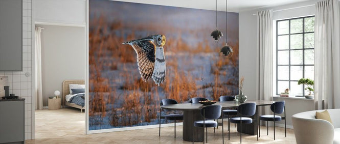 PHOTOWALL / Short Eared Owl (e331965)
