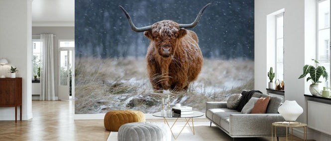 PHOTOWALL / Snowy Highland Cow (e331979)