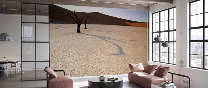 PHOTOWALL / Dead Acacia Tree in Desert (e331994)