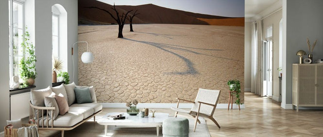 PHOTOWALL / Dead Acacia Tree in Desert (e331994)