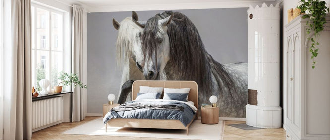 PHOTOWALL / Andalusian Horse (e332119)