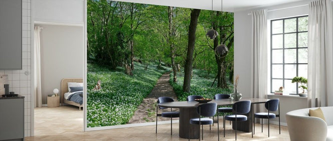 PHOTOWALL / Footpath Through Woodland (e332120)