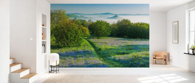 PHOTOWALL / Bluebells on Eype Down (e331924)
