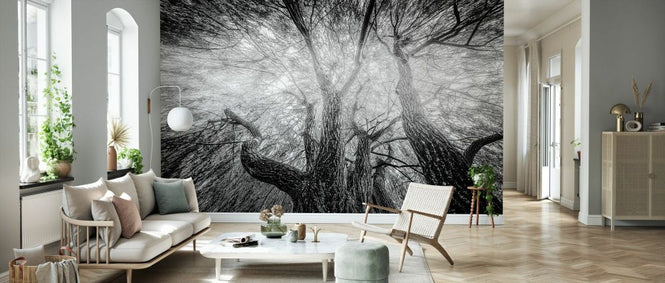 PHOTOWALL / Black and White Tree (e332195)