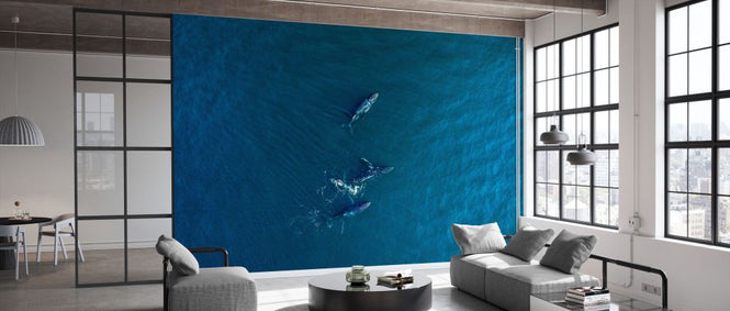 PHOTOWALL / Arabian Humpback Whale (e332206)