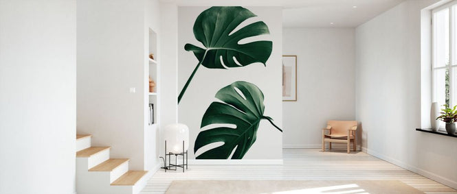 PHOTOWALL / Monstera Natural XLVI (e332313)